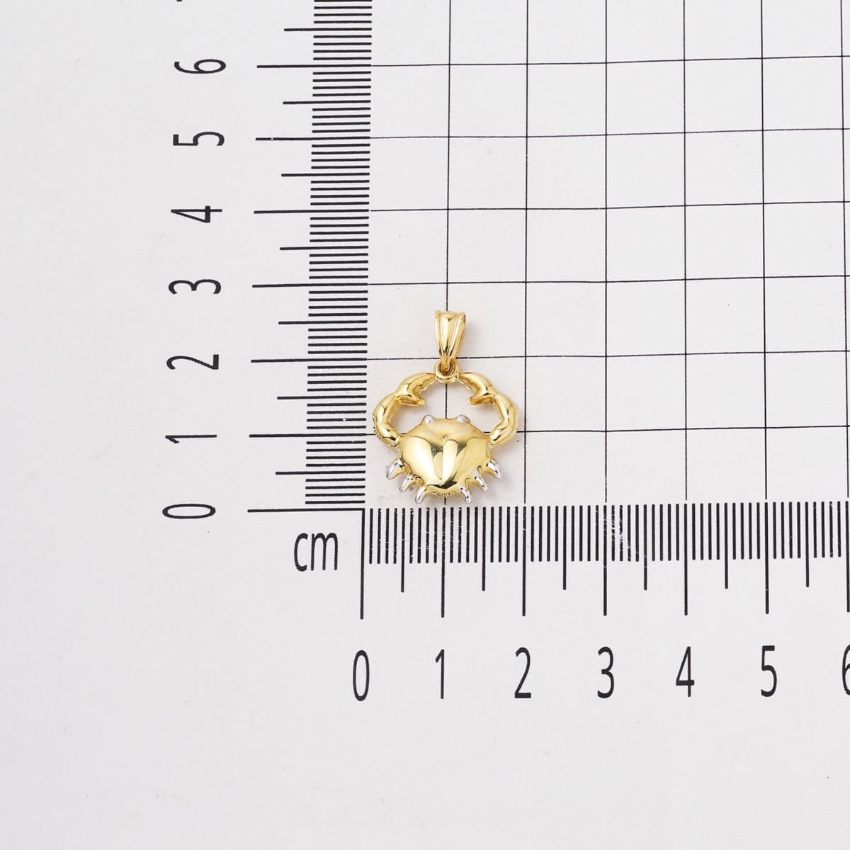 14K Yellow Gold Cancer Zodiac Necklace