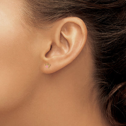 14K Yellow Gold Inverness Epoxy Fill Pink Crown Earrings
