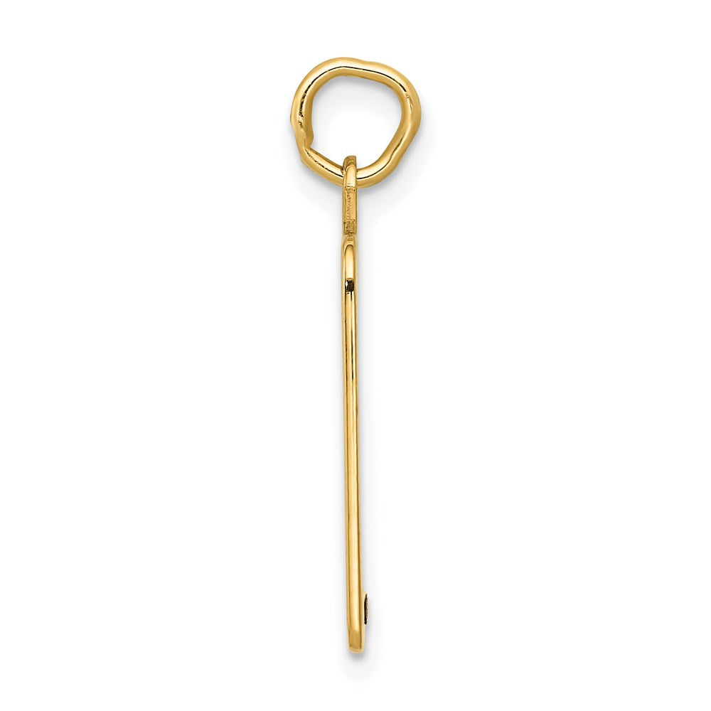 14K Yellow Gold Enameled Pink Engravable Birth Certificate Charm