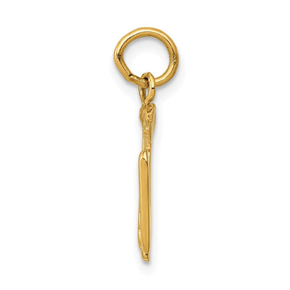 14k Yellow Gold 14k RN Registered Nurse Charm