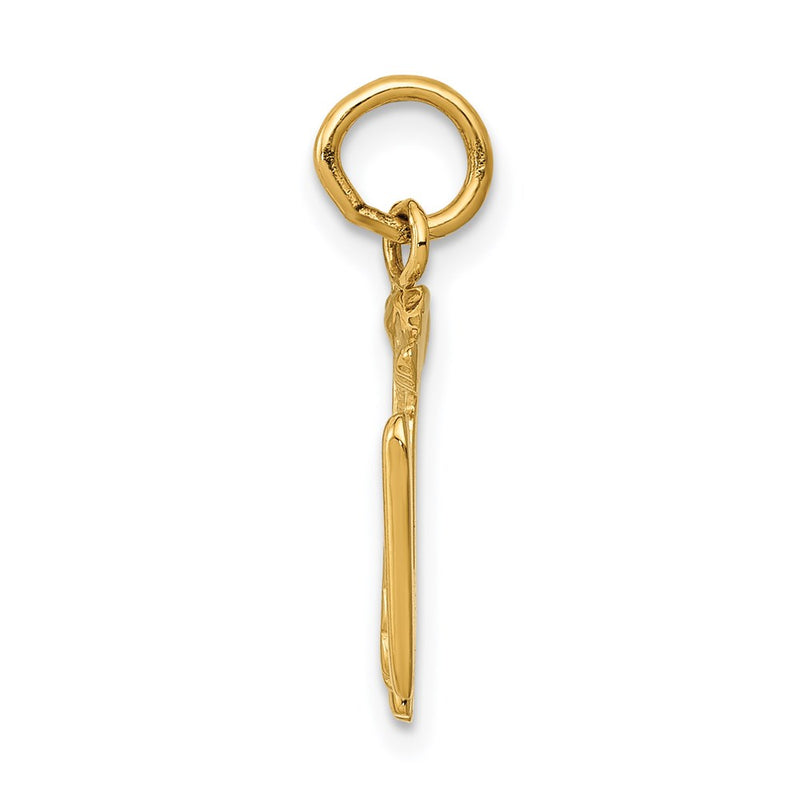 14k Yellow Gold 14k RN Registered Nurse Charm