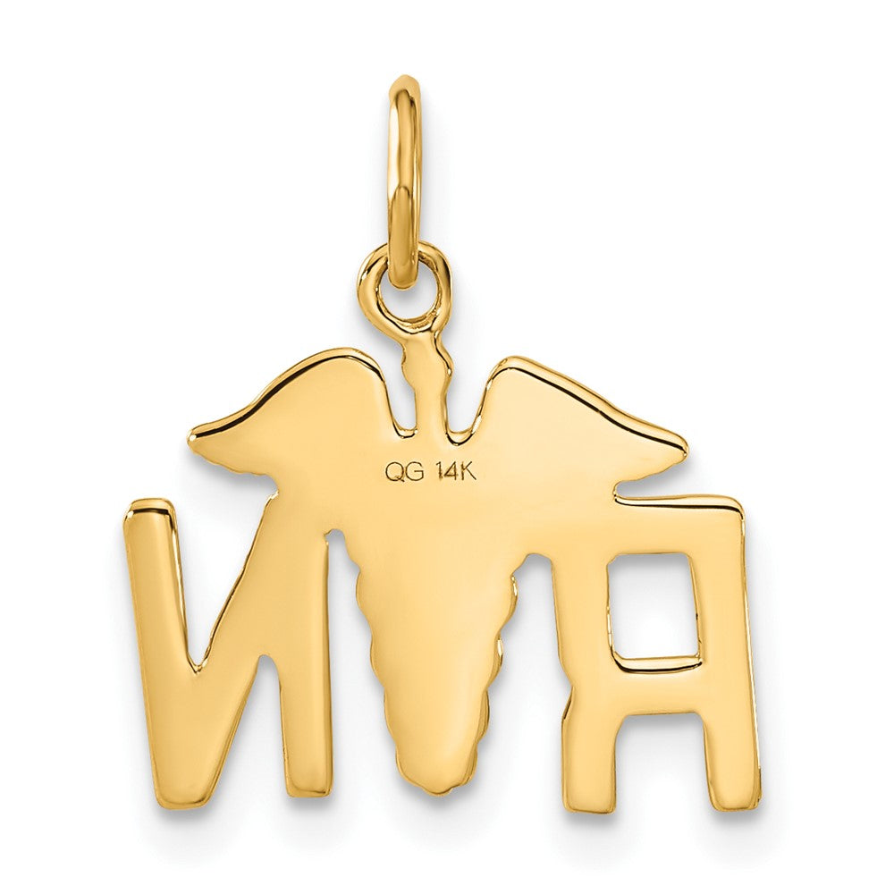 14k Yellow Gold 14k RN Registered Nurse Charm