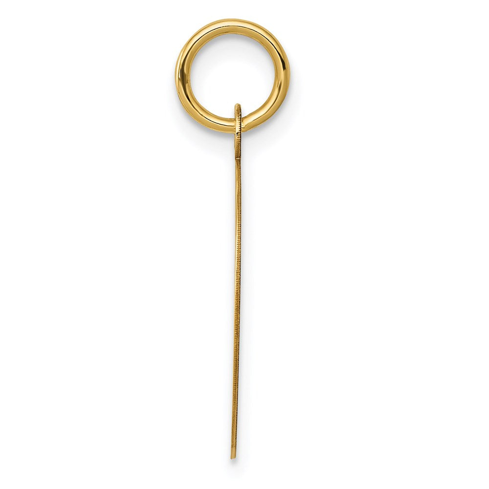 14K Yellow Gold Record Album Charm