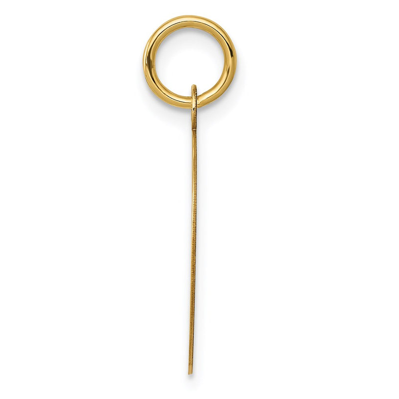 14K Yellow Gold Record Album Charm