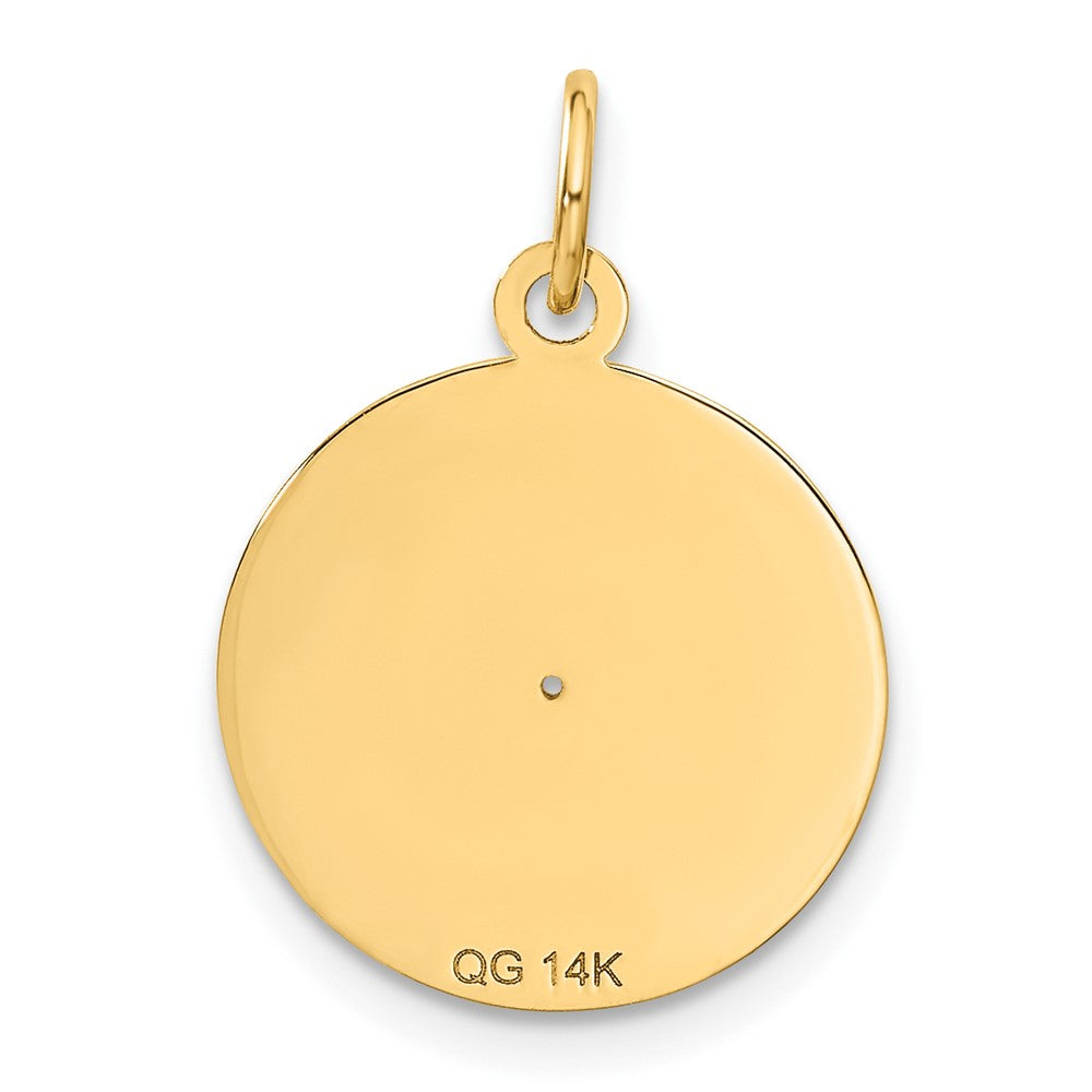 14K Yellow Gold Record Album Charm