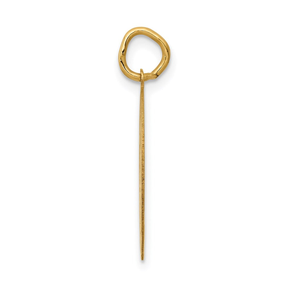 14k Yellow Gold 14k GRADUATION DAY Disc Charm