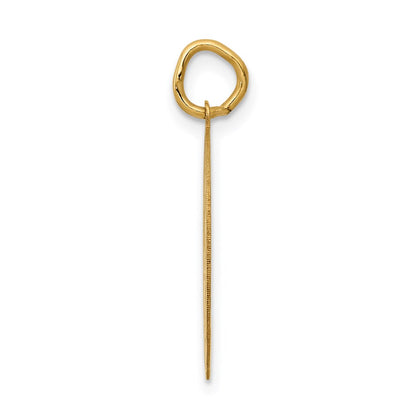 14k Yellow Gold 14k GRADUATION DAY Disc Charm