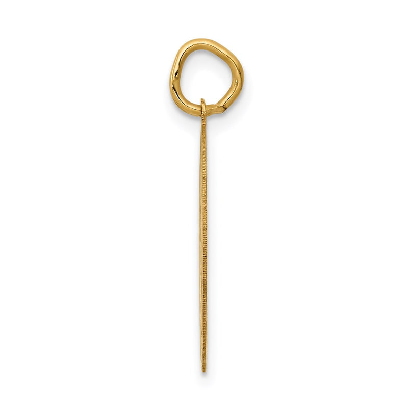 14k Yellow Gold 14k GRADUATION DAY Disc Charm