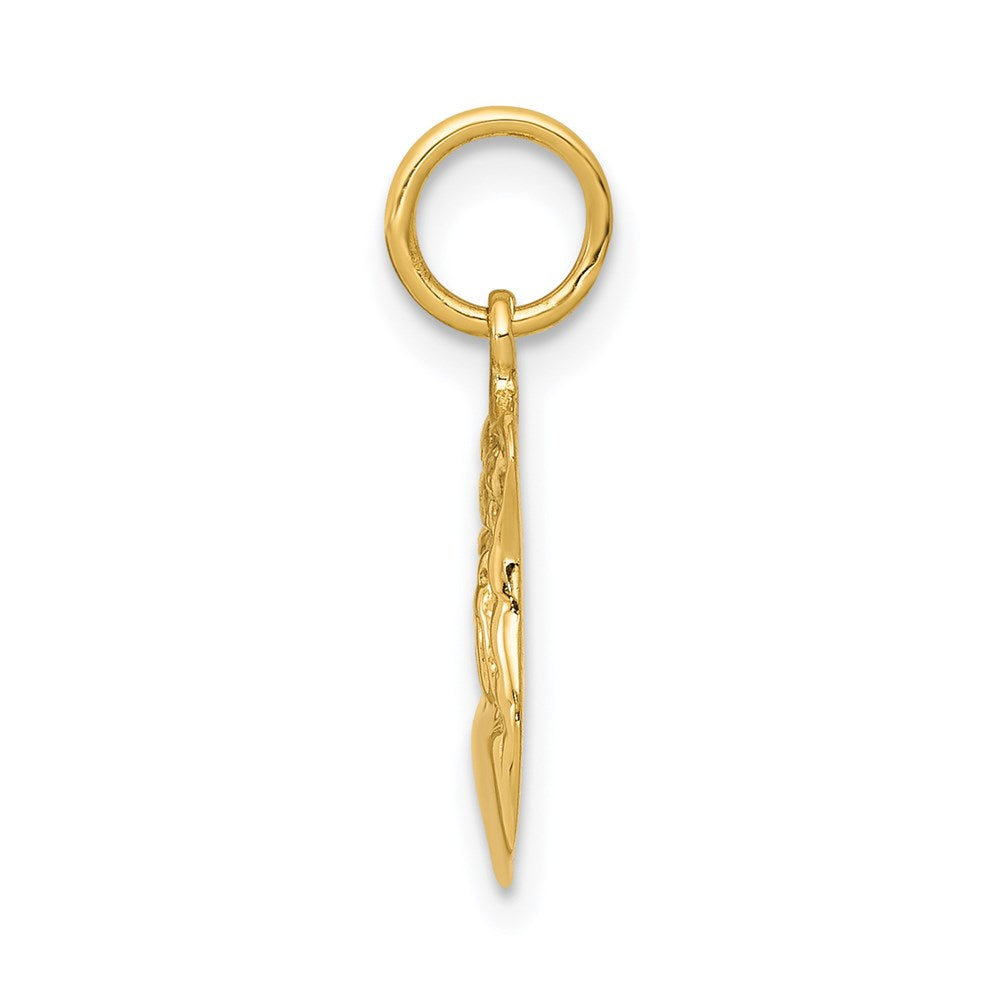14k Yellow Gold 14k Police Badge Charm