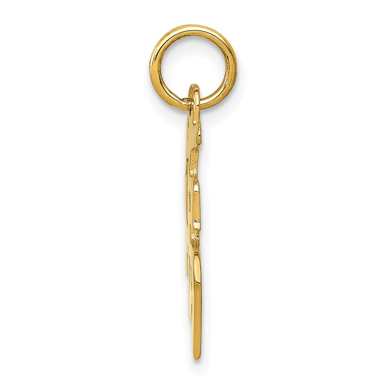 14k Yellow Gold 14k Chinese Symbol Good Luck Charm