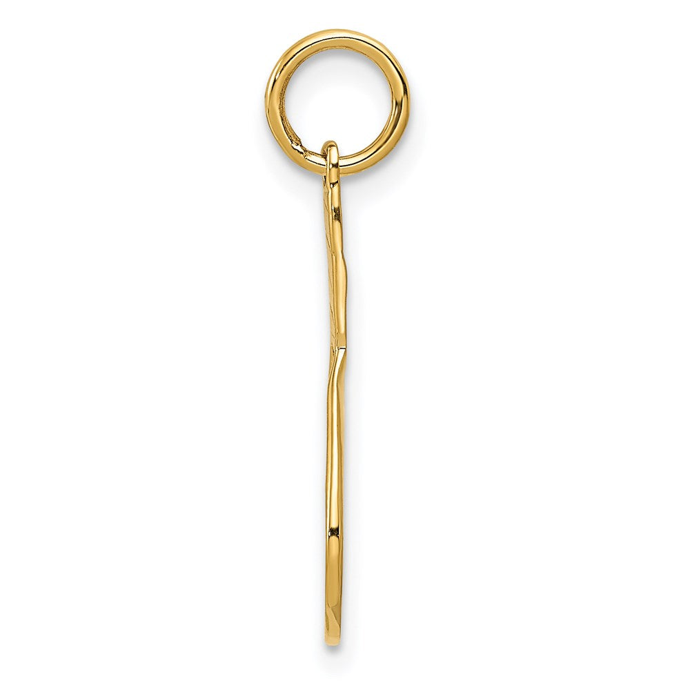 14k Yellow Gold 14k Racquet Charm