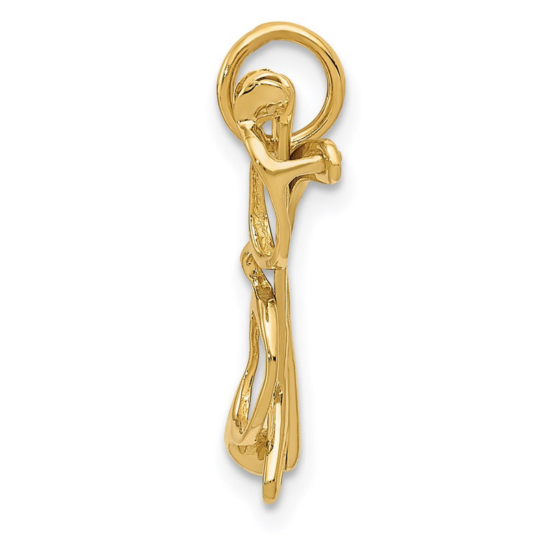 14k Yellow Gold 14k Moveable Glasses Charm