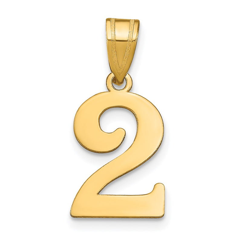 14K Yellow Gold Polished Number 2 Pendant