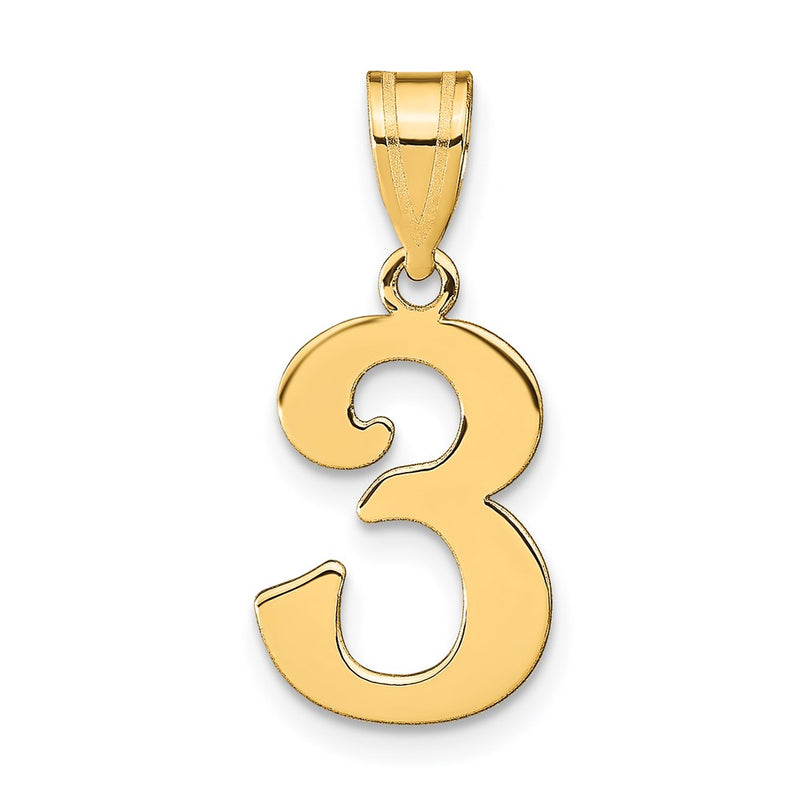 14K Yellow Gold Polished Number 3 Pendant