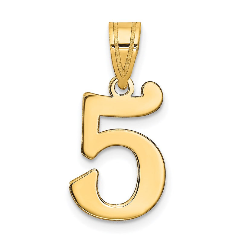 14K Yellow Gold Polished Number 5 Pendant