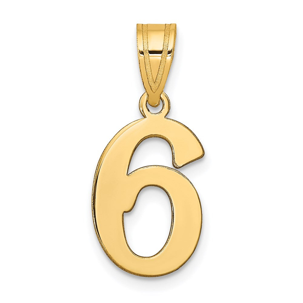 14K Yellow Gold Polished Number 6 Pendant