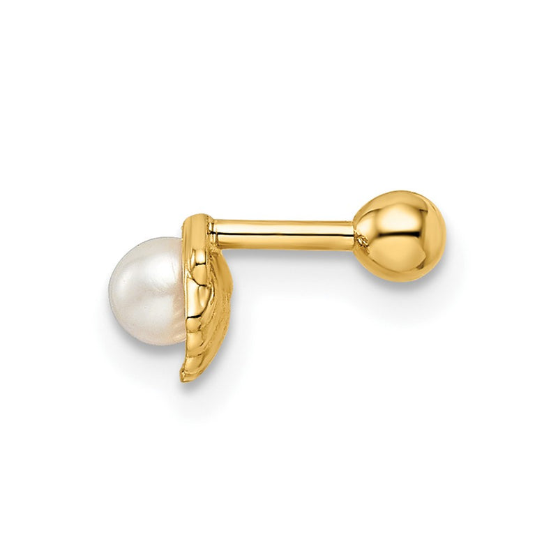 14K Yellow Gold 18 Gauge Scallop Shell W/ Freshwater Cultured Pearl Labret Stud