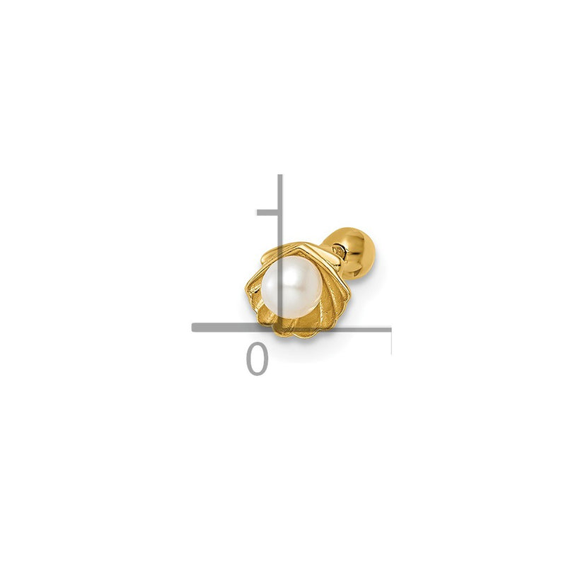 14K Yellow Gold 18 Gauge Scallop Shell W/ Freshwater Cultured Pearl Labret Stud