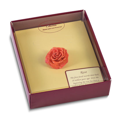 Fashion Lacquer Dipped Pink Real Rose Adjustable Silver-Tone Ring