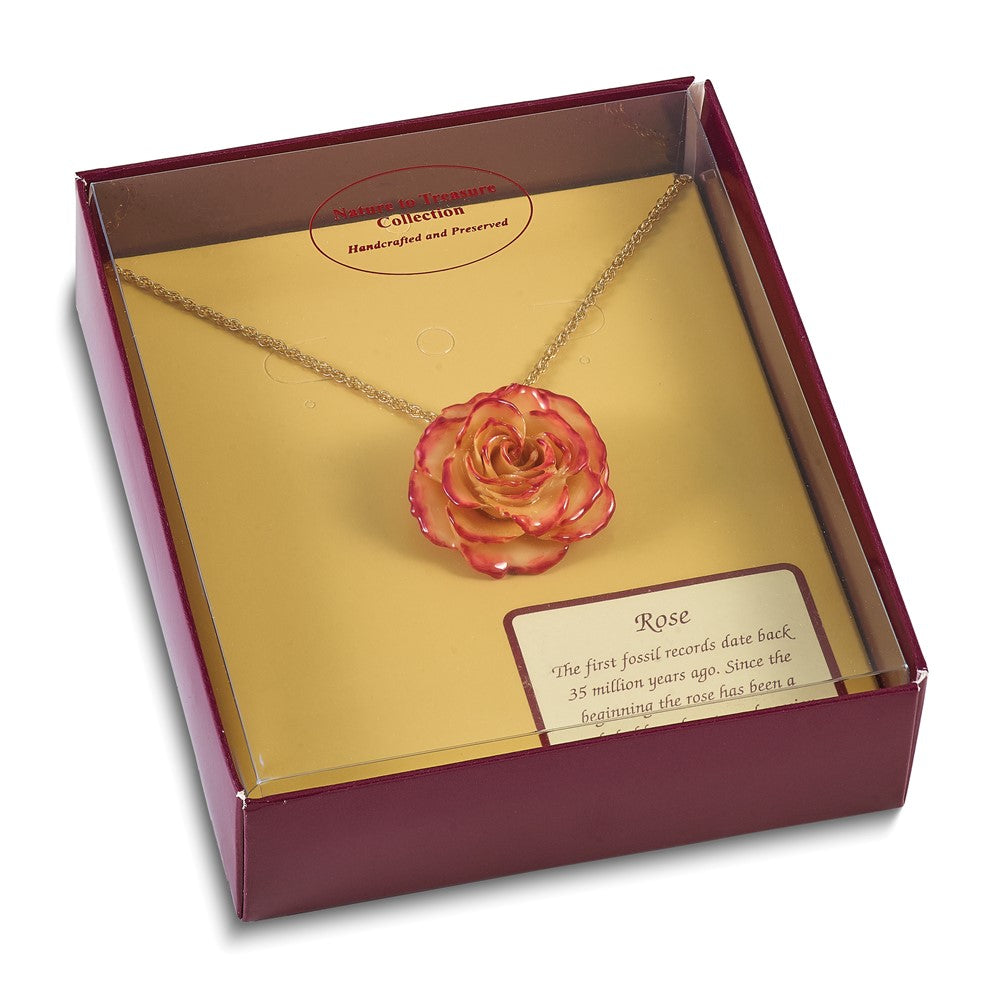Fashion Lacquer Dipped Cream And Fuchsia Real Rose With 20 Inch Gold-Tone Necklace