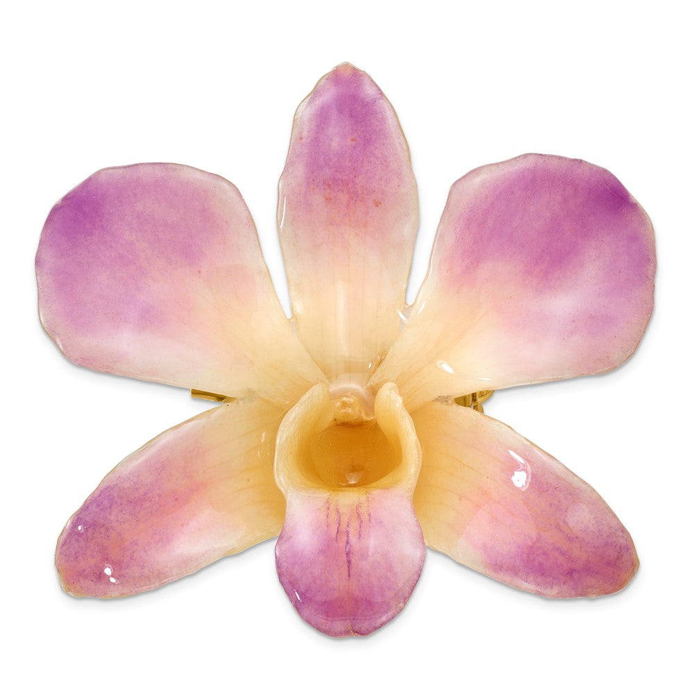 Non Metal Lacquer Dipped Purple And White Real Dendrobium Orchid Pin Brooch