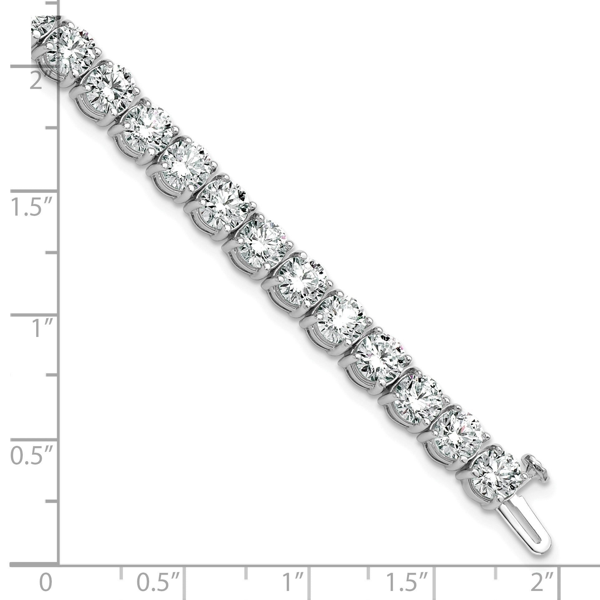 BM10309-WLD [QG:BM10309-WLD:6]