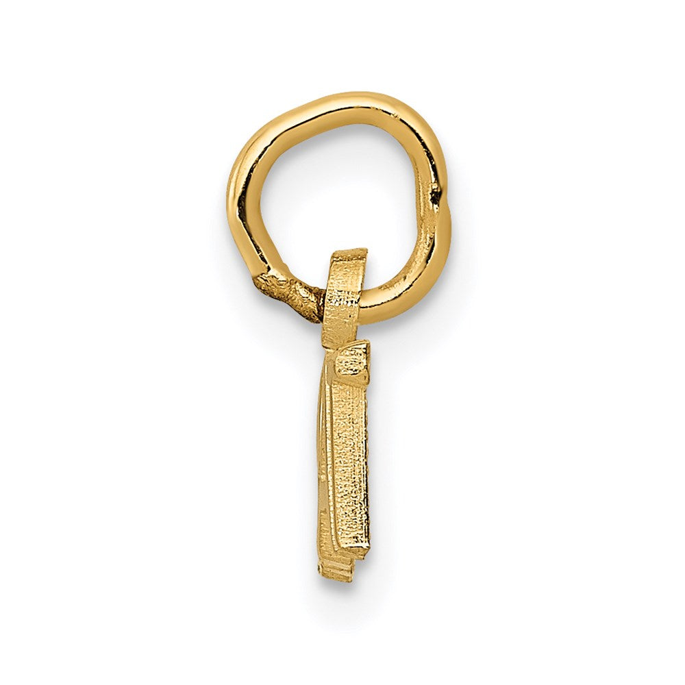 14K Yellow Gold Polished Brat Charm