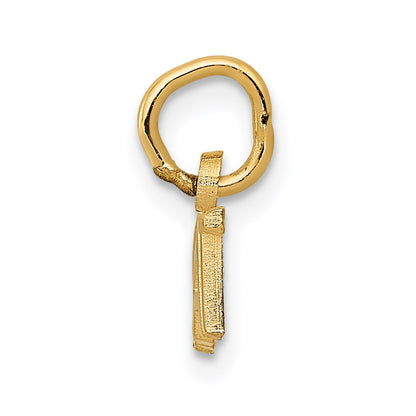 14K Yellow Gold Polished Brat Charm