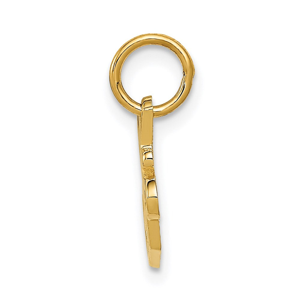 14K Yellow Gold Special Sister Charm