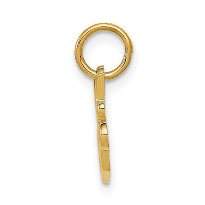 14K Yellow Gold Special Sister Charm