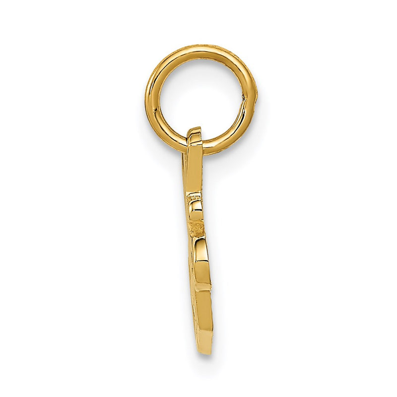 14K Yellow Gold Special Sister Charm