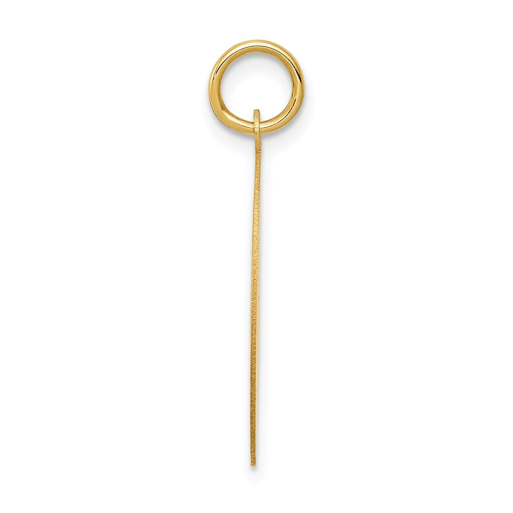 14K Yellow Gold Wrestling Disc Charm