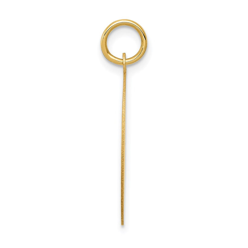 14K Yellow Gold Wrestling Disc Charm