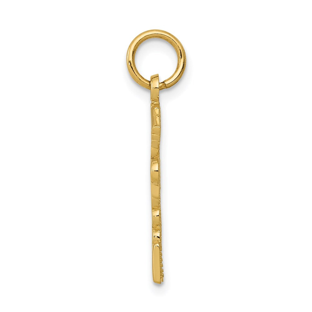 14K Yellow Gold Registered Nurse Practitioner Charm