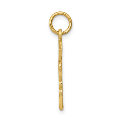 14K Yellow Gold Registered Nurse Practitioner Charm