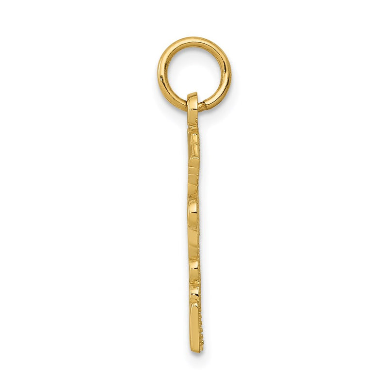 14K Yellow Gold Registered Nurse Practitioner Charm