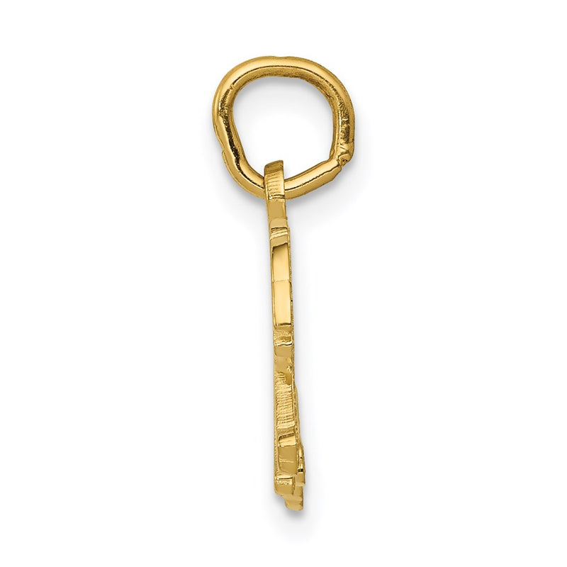 14K Yellow Gold Tiger Charm
