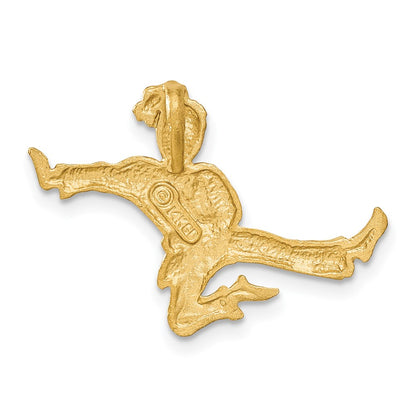 14K Yellow Gold Satin Diamond-Cut Open-Backed Karate Female Chain Slide