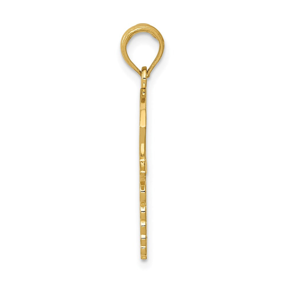 14K Yellow Gold Caduceus W/Nurses Cap Pendant