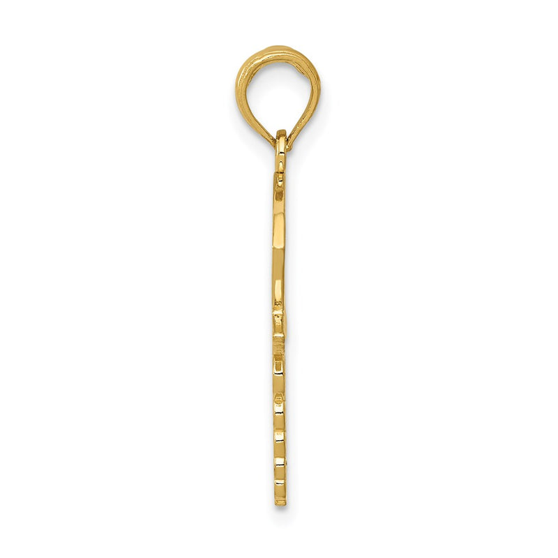 14K Yellow Gold Caduceus W/Nurses Cap Pendant