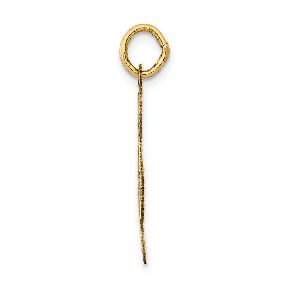 14K Yellow Gold Polished Treble Clef Charm