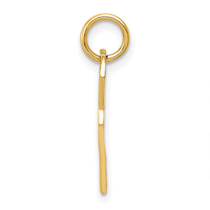 14K Yellow Gold Polished 3D Rounded Top Key Charm