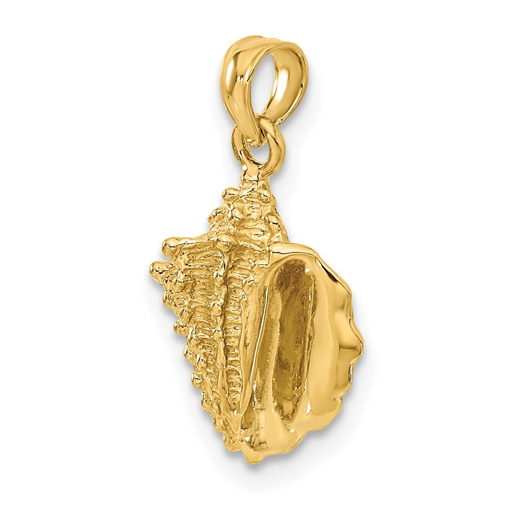 14K Yellow Gold Solid Polished Conch Shell Pendant