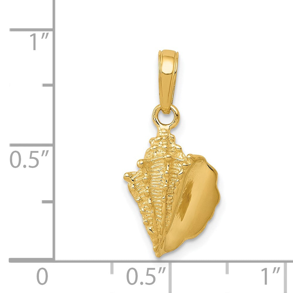 14K Yellow Gold Solid Polished Conch Shell Pendant