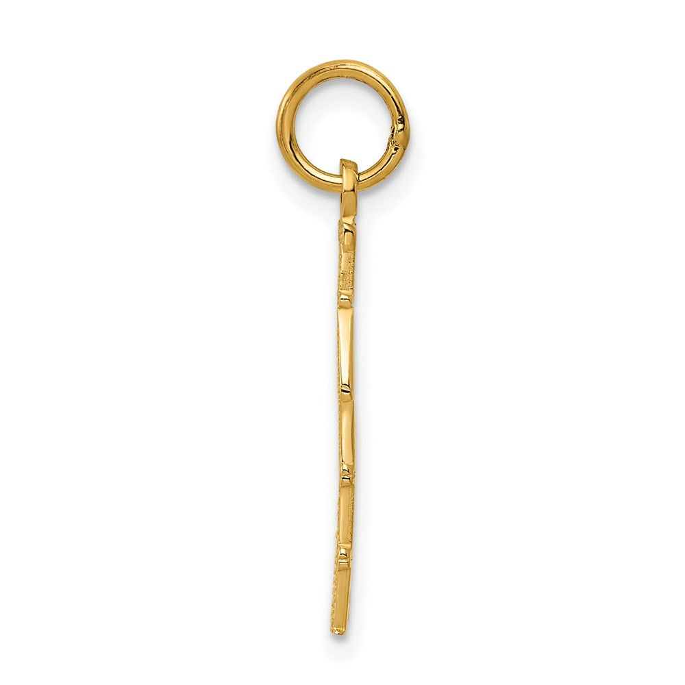 14K Yellow Gold Polished Taken Charm