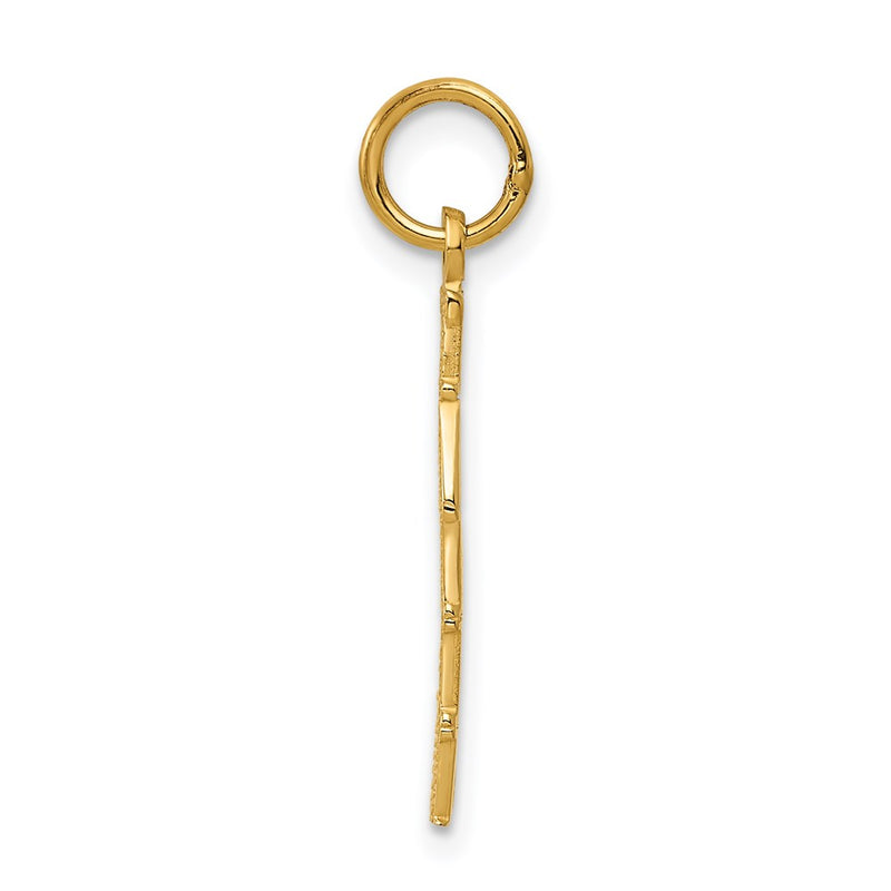 14K Yellow Gold Polished Taken Charm