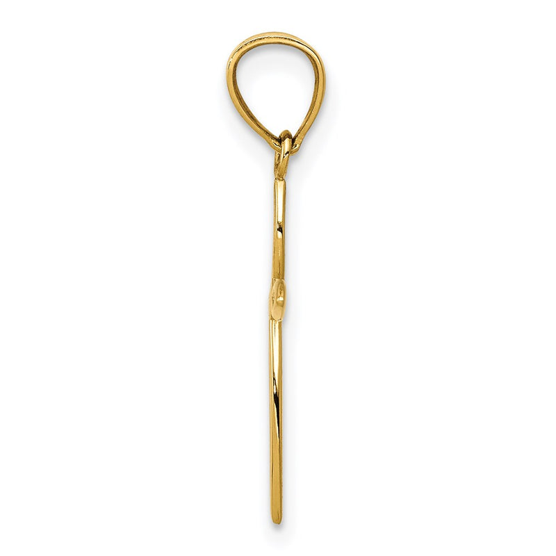 14K Yellow Gold Passion Cross Charm