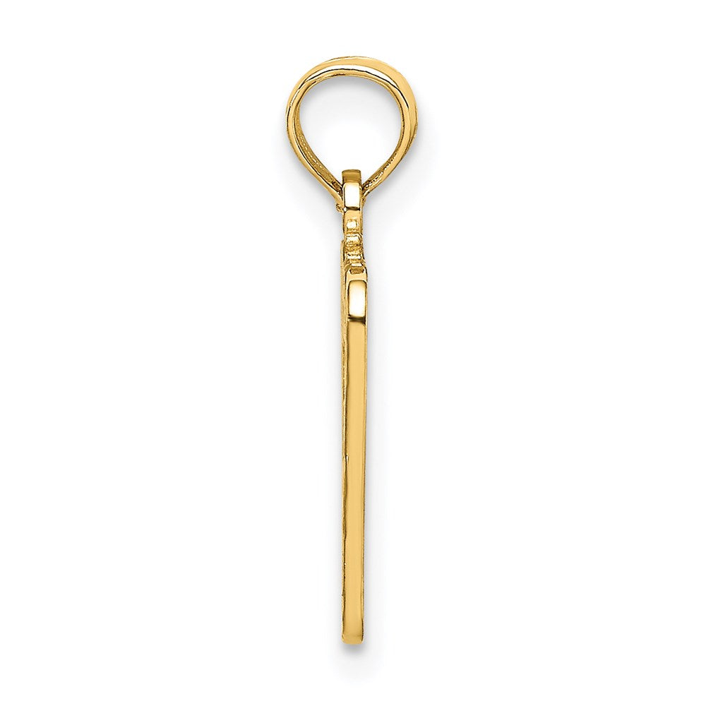14K Yellow Gold Birth Certificate Charm
