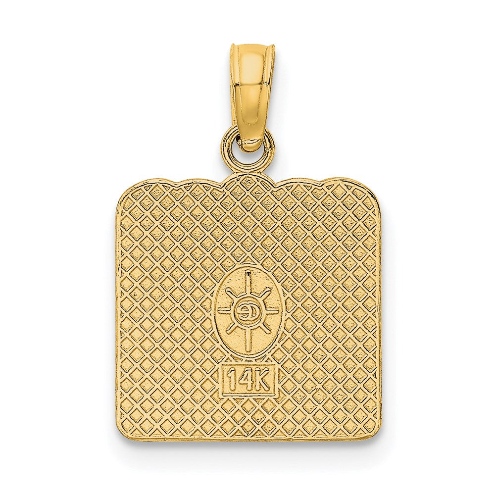 14K Yellow Gold Birth Certificate Charm