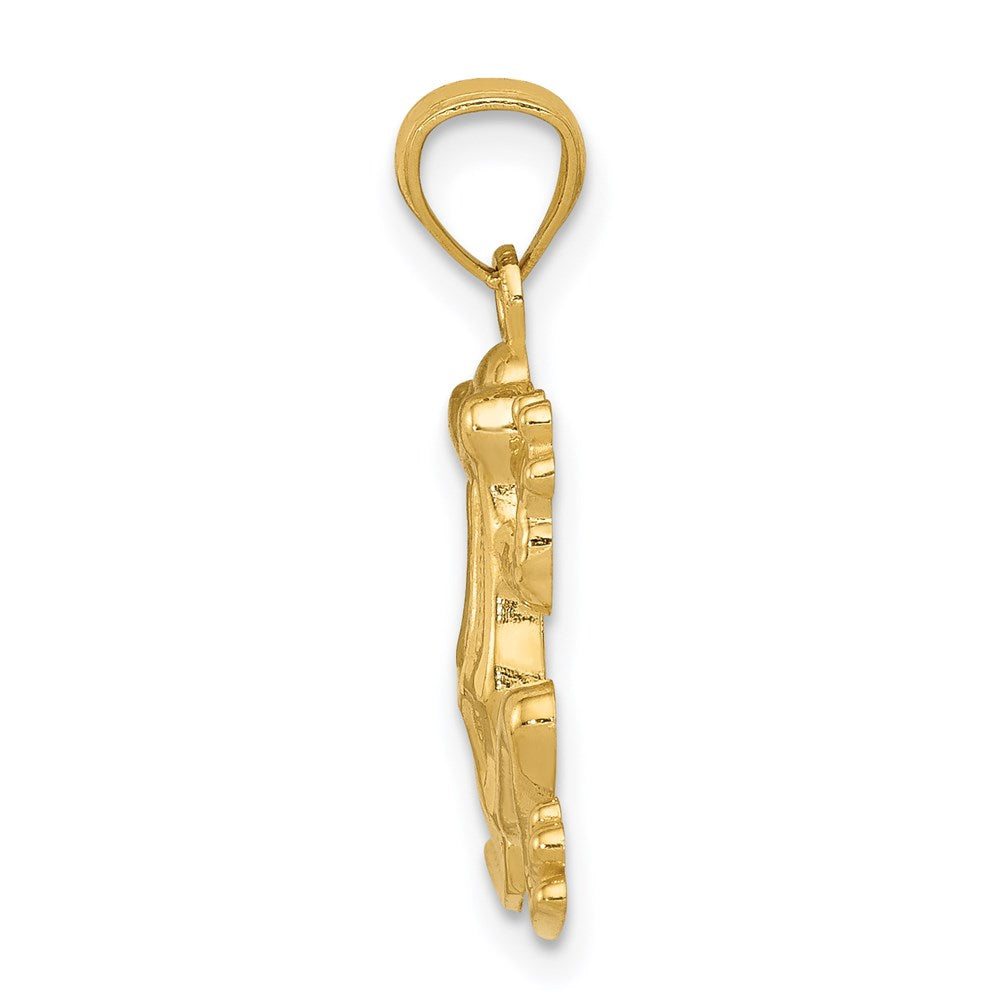 14K Yellow Gold Polished Frog Pendant